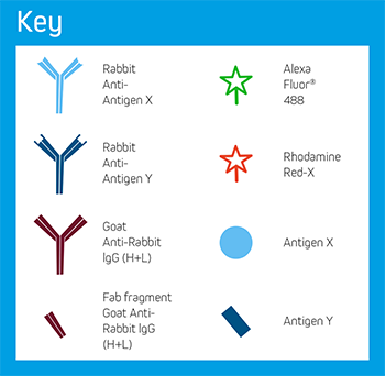 Example D: Key of Elements.