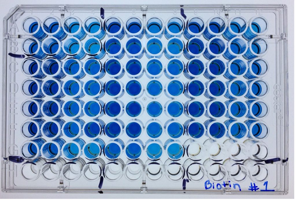 Chromogenic Detection For Western Blot, IHC, And ELISA